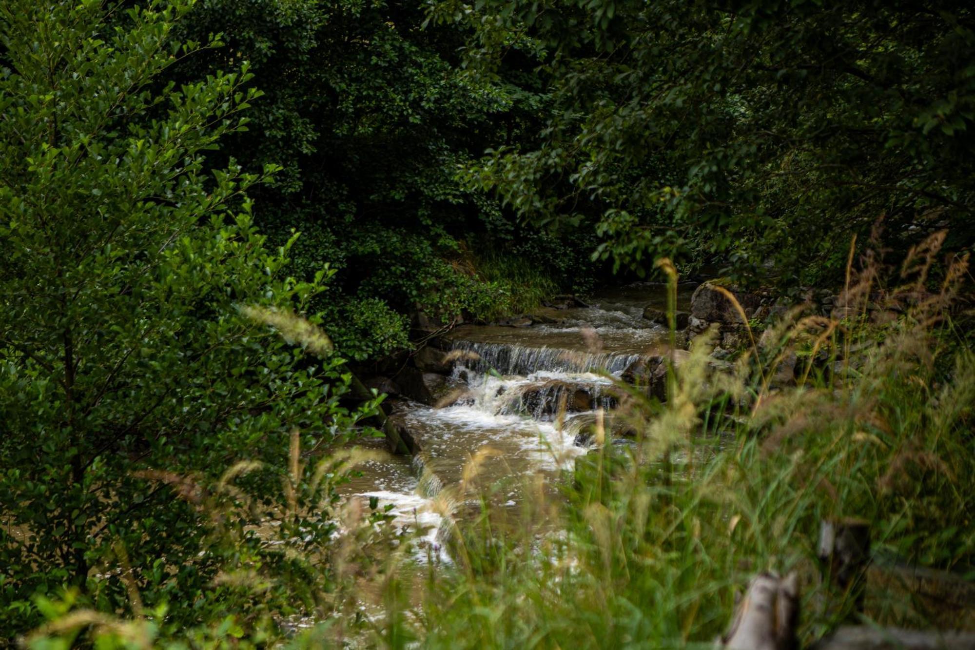 Domek Na Skalce Zabnica Exterior photo
